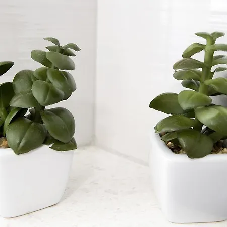 Sabioncello Apartment Split