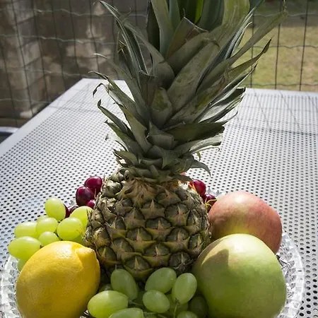 Lejlighed Sabioncello Split