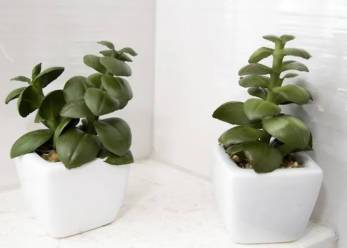 Sabioncello דירה ספליט